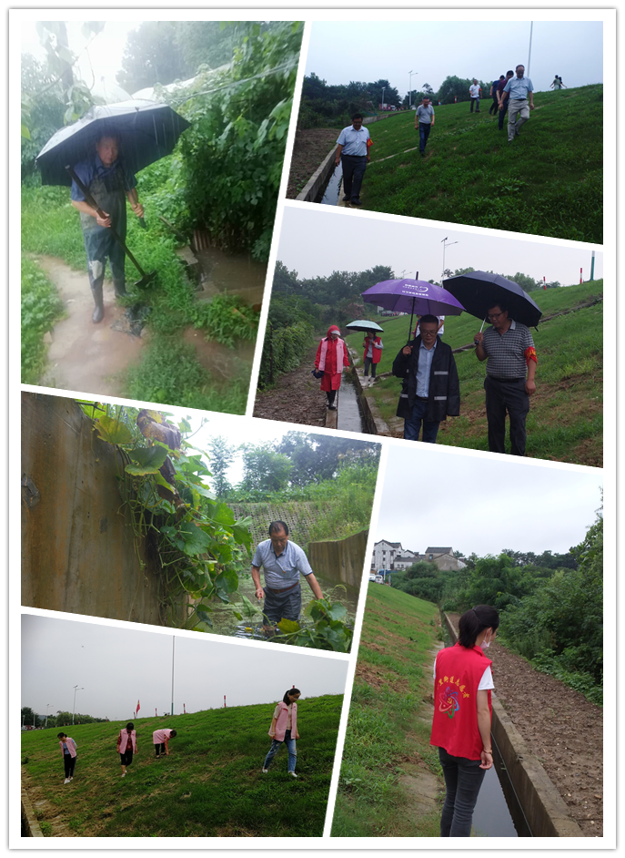  防汛抗洪丨荆刘村：同降雨拼速度，与汛情作斗争